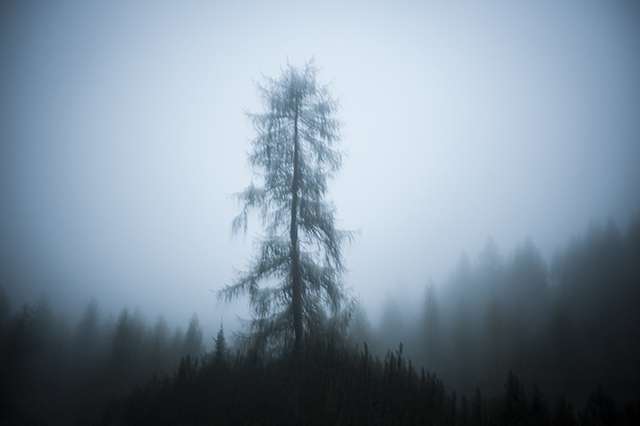 dolomiti-friulane-pixcube-davidemarcesini-4114