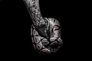 significato del tatuaggio con serpente