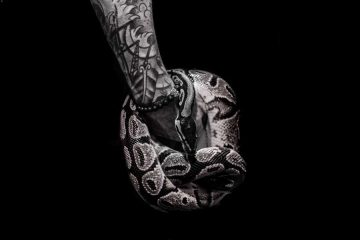 significato del tatuaggio con serpente